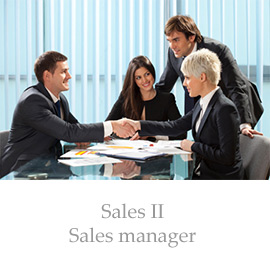 Sales II – Sales manager