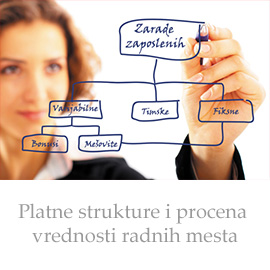 Modeli platnih struktura i procena radnih mesta